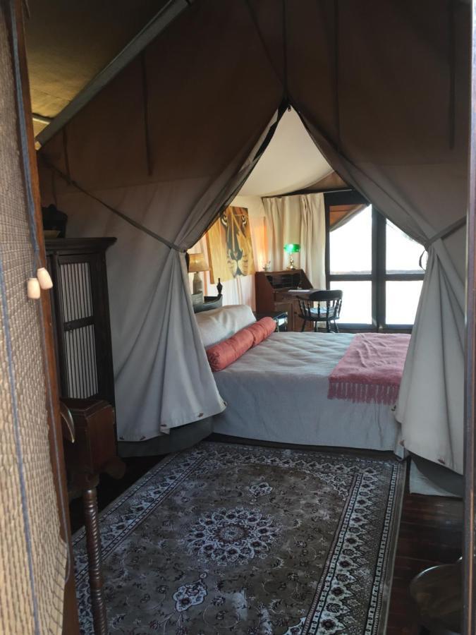 Out In Africa Wildlife Lodge Hammanskraal Zewnętrze zdjęcie