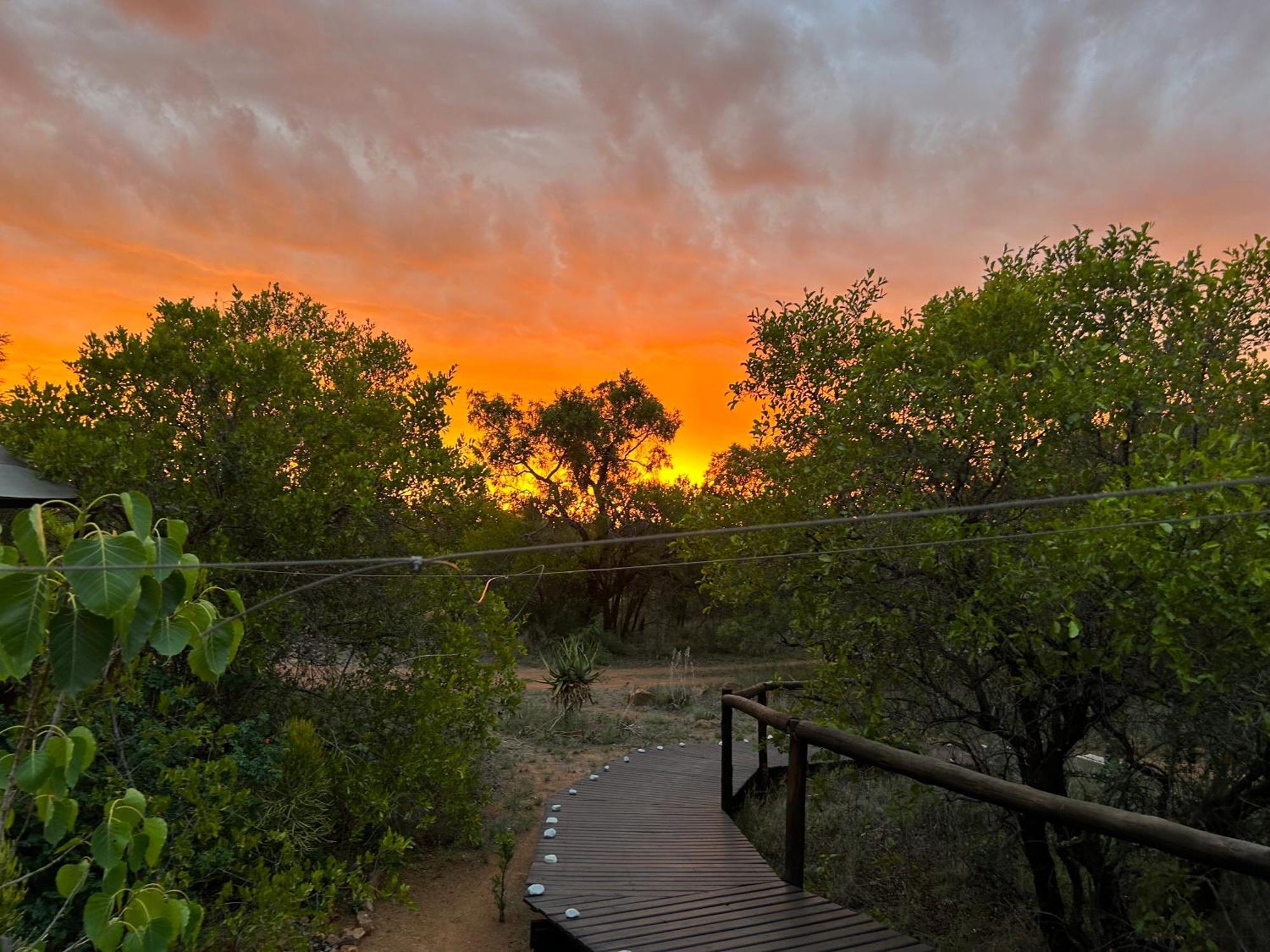 Out In Africa Wildlife Lodge Hammanskraal Zewnętrze zdjęcie