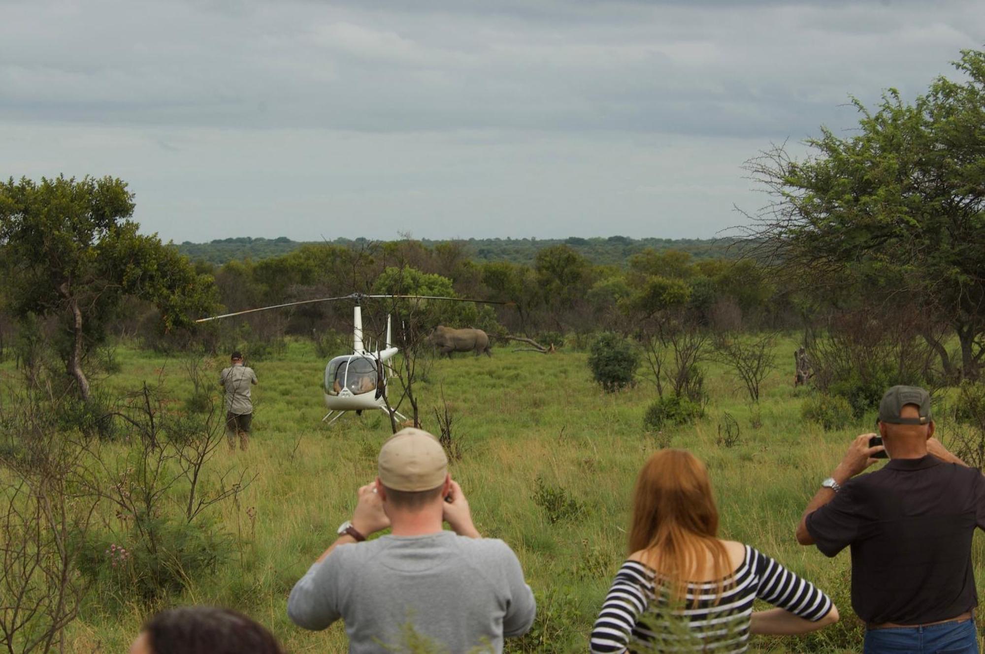 Out In Africa Wildlife Lodge Hammanskraal Zewnętrze zdjęcie